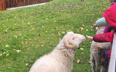 Ausflug der 2a und 2b nach Illerbeuren